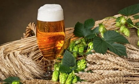 精釀啤酒中，如何選擇恰當(dāng)?shù)慕湻椒ǎ?> </a>
    </dt> 
    <dd> 
     <h4><a href=